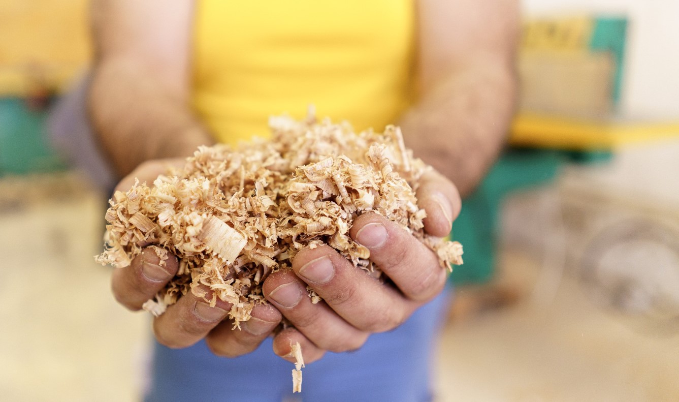 Sciure de bois et 3D. Alternative aux moules en béton