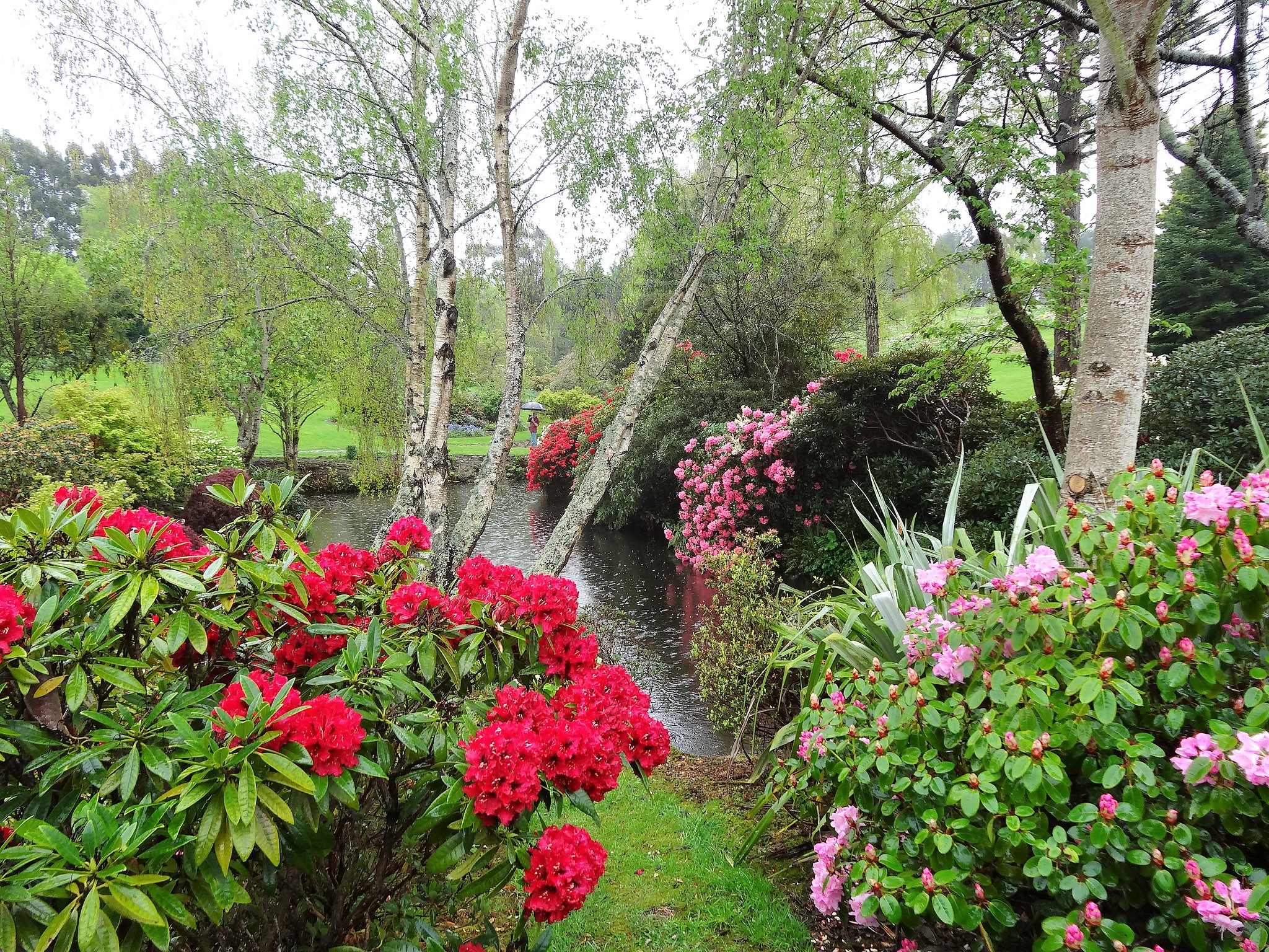 Bibliothèque spécialisée en botanique et art des jardins